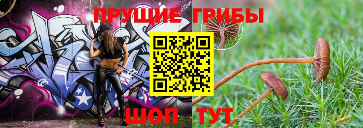 Галлюциногенные грибы Magic Shrooms  Вход с VPN  Воронеж 